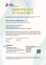 Certificate ATCM-ULEF (SYKTYVKAR)_page-0001_thumb1.jpg