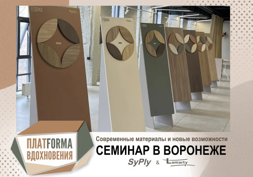 Modern Materials and New Opportunities: A Seminar in Voronezh