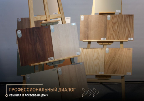 Professional Dialogue and Practical Solutions: Donplit Seminar in Rostov-on-Don